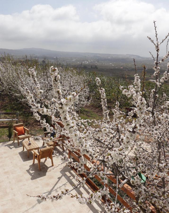 Oriental Nature Majdal Shams Exterior foto
