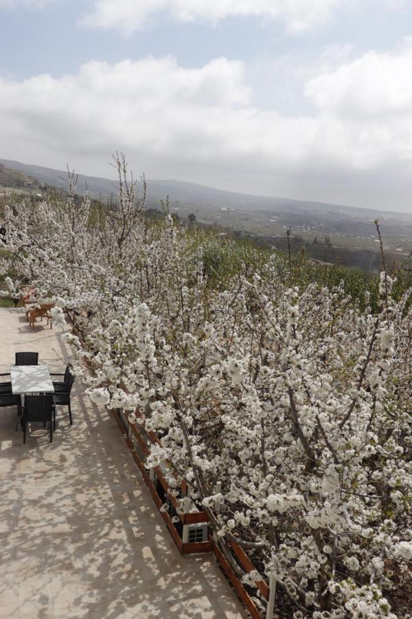 Oriental Nature Majdal Shams Exterior foto
